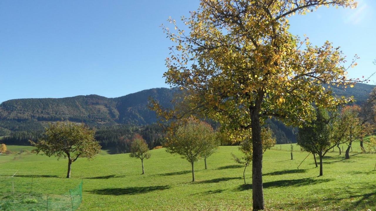 Biobauernhof Obereck Apartment Goestling an der Ybbs